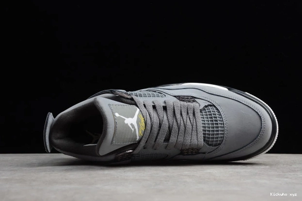 Cool Retro 308497-007 Grey Jordan (2019) Air 4 0521